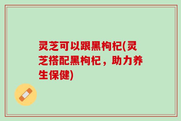 灵芝可以跟黑枸杞(灵芝搭配黑枸杞，助力养生保健)