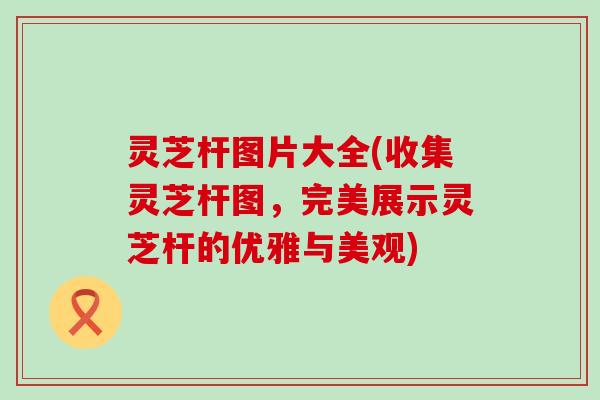 灵芝杆图片大全(收集灵芝杆图，完美展示灵芝杆的优雅与美观)
