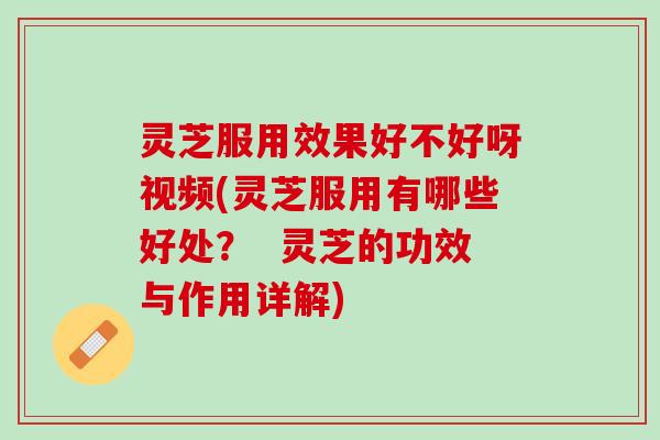 灵芝服用效果好不好呀视频(灵芝服用有哪些好处？  灵芝的功效与作用详解)