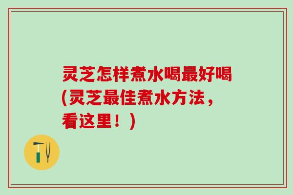 灵芝怎样煮水喝最好喝(灵芝最佳煮水方法，看这里！)