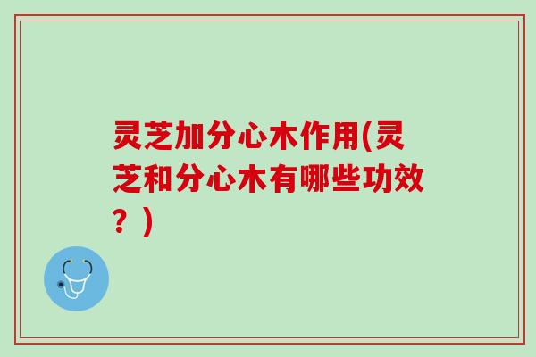 灵芝加分心木作用(灵芝和分心木有哪些功效？)