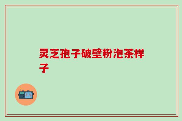 灵芝孢子破壁粉泡茶样子