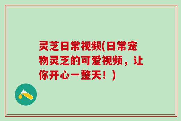 灵芝日常视频(日常宠物灵芝的可爱视频，让你开心一整天！)