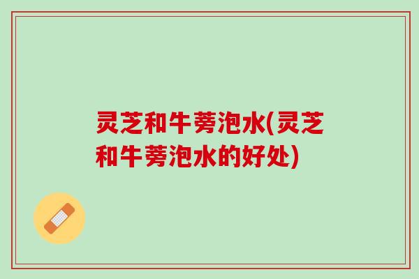 灵芝和牛蒡泡水(灵芝和牛蒡泡水的好处)