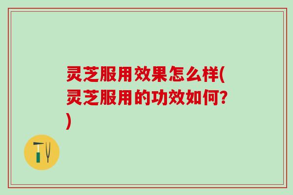 灵芝服用效果怎么样(灵芝服用的功效如何？)