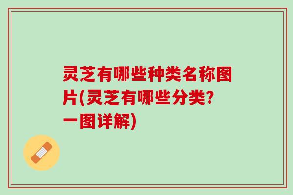 灵芝有哪些种类名称图片(灵芝有哪些分类？一图详解)