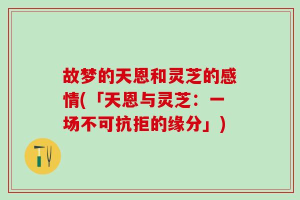 故梦的天恩和灵芝的感情(「天恩与灵芝：一场不可抗拒的缘分」)