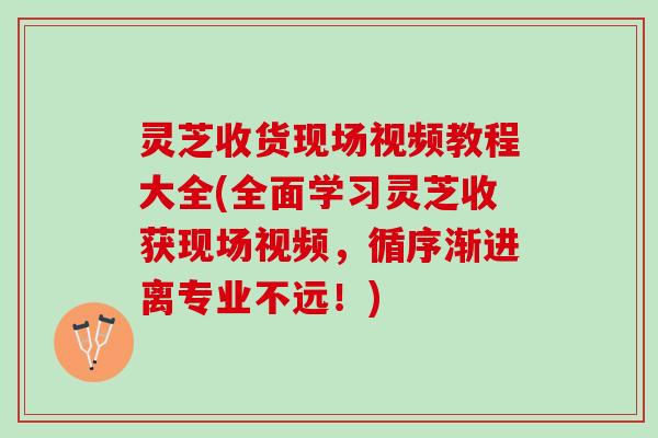 灵芝收货现场视频教程大全(全面学习灵芝收获现场视频，循序渐进离专业不远！)