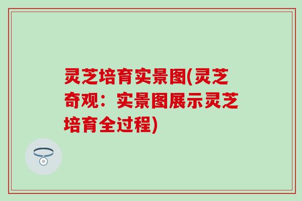 灵芝培育实景图(灵芝奇观：实景图展示灵芝培育全过程)