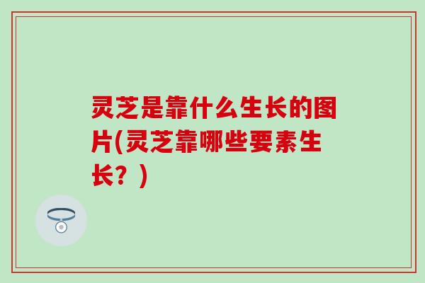 灵芝是靠什么生长的图片(灵芝靠哪些要素生长?) 灵芝是靠什么生长的图片(灵芝靠哪些要素生长?)