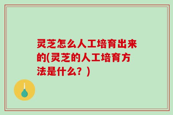 灵芝怎么人工培育出来的(灵芝的人工培育方法是什么？)