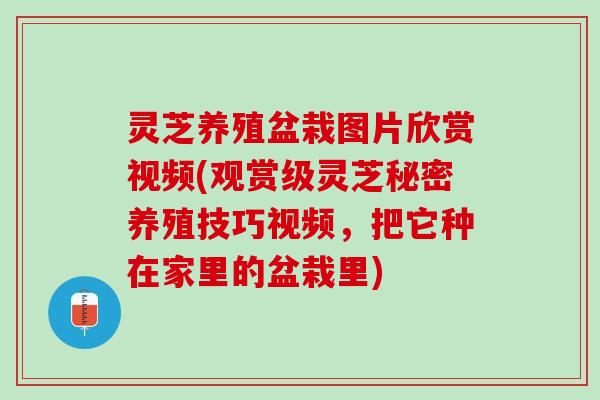灵芝养殖盆栽图片欣赏视频(观赏级灵芝秘密养殖技巧视频，把它种在家里的盆栽里)