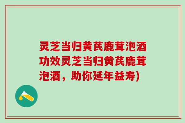 灵芝当归黄芪鹿茸泡酒功效灵芝当归黄芪鹿茸泡酒，助你延年益寿)