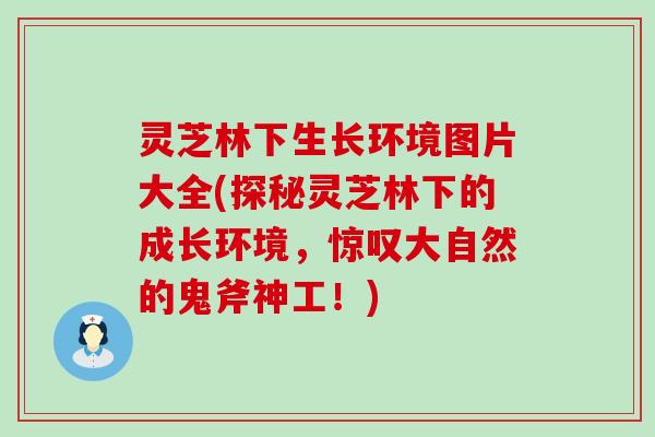 灵芝林下生长环境图片大全(探秘灵芝林下的成长环境，惊叹大自然的鬼斧神工！)