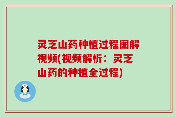 灵芝山药种植过程图解视频(视频解析：灵芝山药的种植全过程)