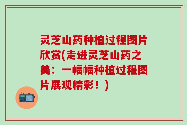 灵芝山药种植过程图片欣赏(走进灵芝山药之美：一幅幅种植过程图片展现精彩！)