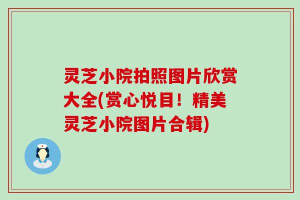 灵芝小院拍照图片欣赏大全(赏心悦目！精美灵芝小院图片合辑)