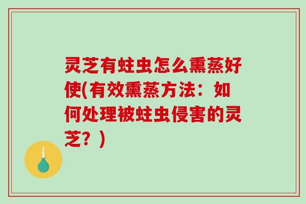 灵芝有蛀虫怎么熏蒸好使(有效熏蒸方法：如何处理被蛀虫侵害的灵芝？)
