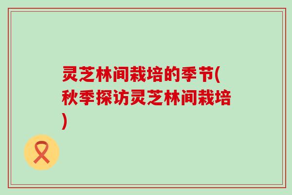 灵芝林间栽培的季节(秋季探访灵芝林间栽培)