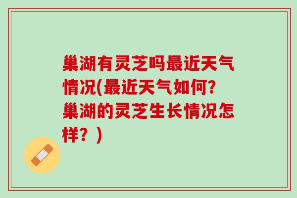 巢湖有灵芝吗最近天气情况(最近天气如何？巢湖的灵芝生长情况怎样？)