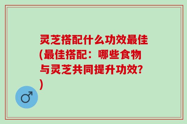 灵芝搭配什么功效最佳(最佳搭配：哪些食物与灵芝共同提升功效？)