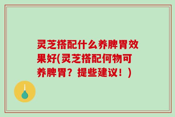 灵芝搭配什么养脾胃效果好(灵芝搭配何物可养脾胃？提些建议！)