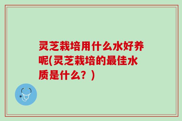 灵芝栽培用什么水好养呢(灵芝栽培的最佳水质是什么？)