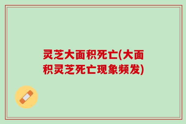 灵芝大面积死亡(大面积灵芝死亡现象频发)