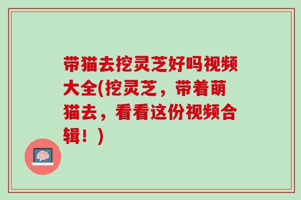 带猫去挖灵芝好吗视频大全(挖灵芝，带着萌猫去，看看这份视频合辑！)