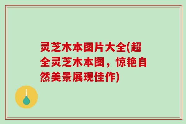 灵芝木本图片大全(超全灵芝木本图，惊艳自然美景展现佳作)