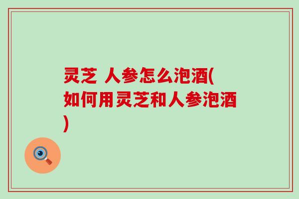 灵芝 人参怎么泡酒(如何用灵芝和人参泡酒)