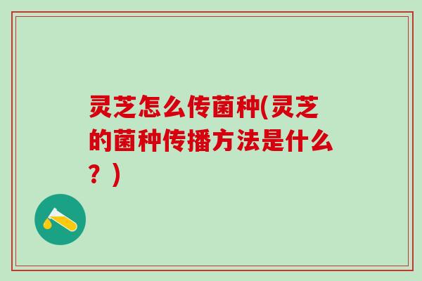 灵芝怎么传菌种(灵芝的菌种传播方法是什么？)
