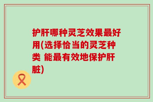 护肝哪种灵芝效果最好用(选择恰当的灵芝种类 能最有效地保护肝脏)