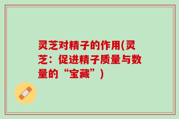灵芝对精子的作用(灵芝：促进精子质量与数量的“宝藏”)