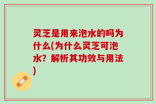 灵芝是用来泡水的吗为什么(为什么灵芝可泡水？解析其功效与用法)