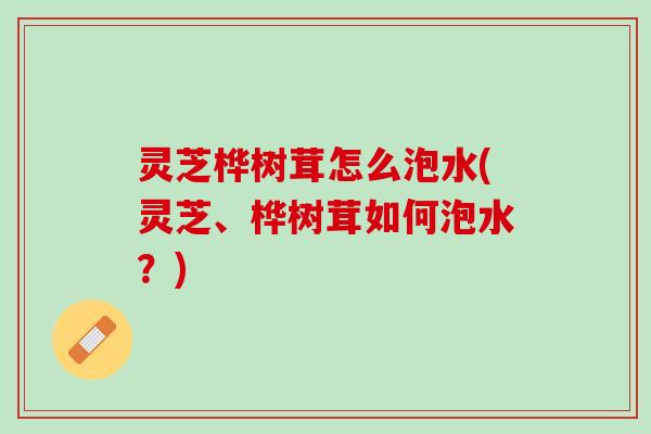 灵芝桦树茸怎么泡水(灵芝、桦树茸如何泡水？)