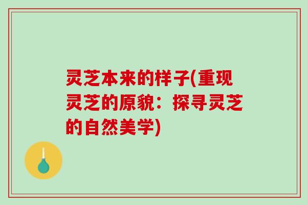 灵芝本来的样子(重现灵芝的原貌：探寻灵芝的自然美学)
