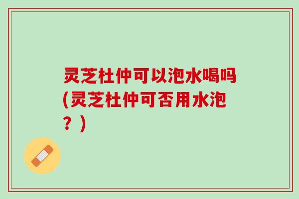 灵芝杜仲可以泡水喝吗(灵芝杜仲可否用水泡？)