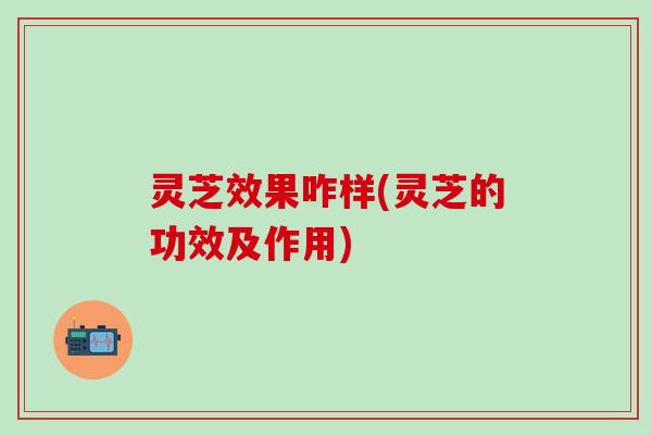 灵芝效果咋样(灵芝的功效及作用) 灵芝效果咋样(灵芝的功效及作用)