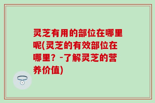 灵芝有用的部位在哪里呢(灵芝的有效部位在哪里？-了解灵芝的营养价值)