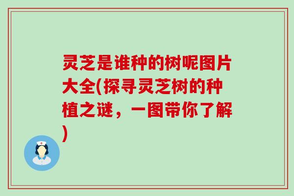灵芝是谁种的树呢图片大全(探寻灵芝树的种植之谜，一图带你了解)