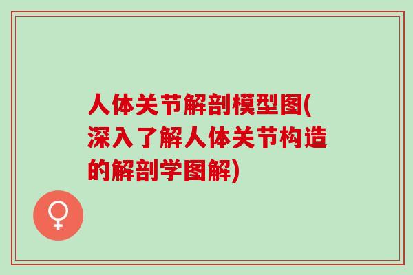 人体关节解剖模型图(深入了解人体关节构造的解剖学图解)