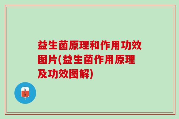 益生菌原理和作用功效图片(益生菌作用原理及功效图解) 益生菌原理和作用功效图片(益生菌作用原理及功效图解)