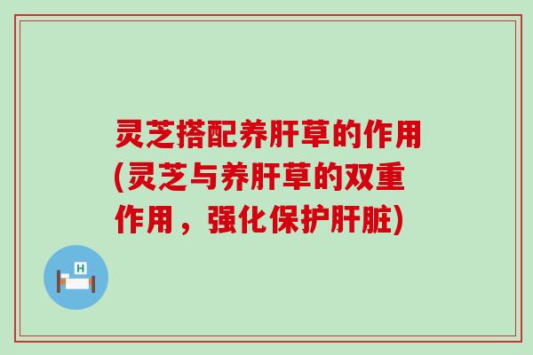 灵芝搭配养肝草的作用(灵芝与养肝草的双重作用，强化保护肝脏)