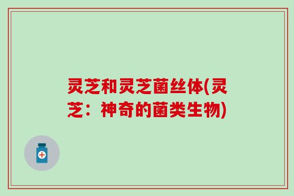 灵芝和灵芝菌丝体(灵芝：神奇的菌类生物)
