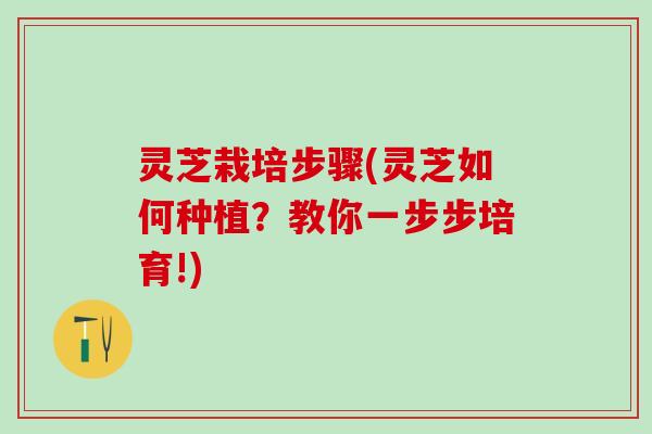 灵芝栽培步骤(灵芝如何种植？教你一步步培育!)
