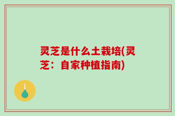 灵芝是什么土栽培(灵芝:自家种植指南) 灵芝是什么土栽培(灵芝:自家种植指南)