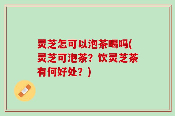 灵芝怎可以泡茶喝吗(灵芝可泡茶？饮灵芝茶有何好处？)