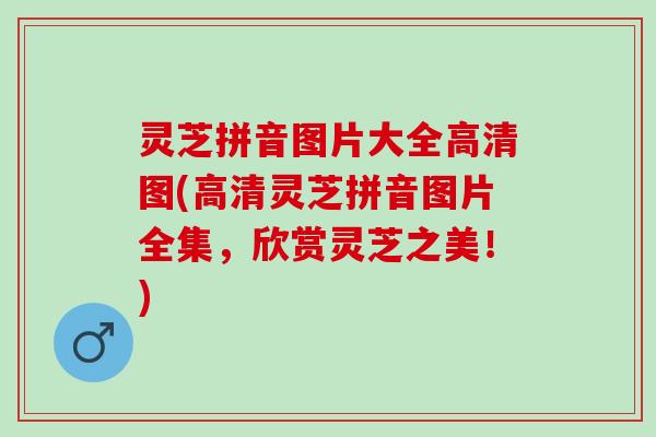 灵芝拼音图片大全高清图(高清灵芝拼音图片全集，欣赏灵芝之美！)