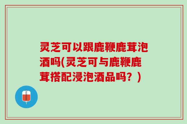 灵芝可以跟鹿鞭鹿茸泡酒吗(灵芝可与鹿鞭鹿茸搭配浸泡酒品吗？)